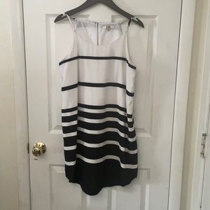 BB Dakota Dress